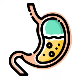 Complete Digestive System Screening Test