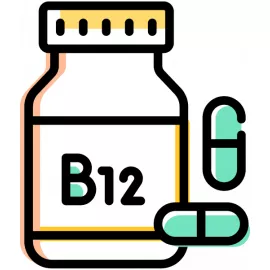 Vitamin B12 Test