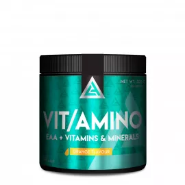 Lazar Angelov Vit/Amino Orange Flavor 300g