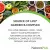 Natures Plus Garden B-Complex Capsules Vegan Capsules 60's