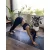 Meow Yoga Jungle Mat Black