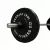 1441 Fitness Olympic Bumper plates for Strength Training - Black (15 Kg)