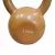 1441 Fitness Vinyl Kettlebell 10 KG [CLONE]