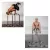 Lebert Fitness Equalizer Frank Medrano Signature Series (31'' x 21.75'' x 18'') XL - Chrome
