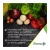 Natures Plus Source Of Life Women's Multi Vitamin 60's