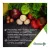 Natures Plus Source Of Life Garden Calcium 1000 mg Vegan Capsules 120's
