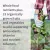Garden of Life Vitamin Code Iron Capsules 30's