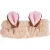 The Crème Shop 3D Teddy Headband Bear