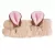 The Crème Shop 3D Teddy Headband Bear