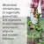 Garden of Life, Vitamin Code Raw B-Complex Vegan Capsules 60's