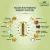 Dabur Botanica ImmunoFit Veg. Capsules | 12 Ingredients | Boosts Immunity | Turmeric | Vitamin C | Ginger | Ginseng | Herbal | Antioxidant | 60's