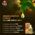 Dabur Tulsi Drops | Holy Basil | Extract of 5 Rare Tulsi | Natural Immunity Booster | Ayurvedic | Herbal | Cough | Cold | 30 ml
