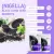 Bliss of Earth Certified Organic Black Cumin Kalonji Seeds Nigella Seeds Packed with Antioxidants 200g