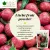 Bliss of Earth LYCHEE (litchi) Powder Vitamin C Rich Immunity Booster Great for Lychee Juice Jelly Syrup and  Baking 200g
