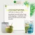 Bliss of Earth Coconut Water Powder Natural Spray Dried Instant Mix Drink Beverage 200g