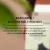 Eco-conscious Pads Pack of 30 (L)