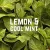 VELOFORTE Fresco Lemon Cool Mint Flavour Energy Chews 9 x 50g