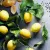 VELOFORTE Zenzero Citrus Fruits Almond Honey Flavour Energy Bar 9 x 62g