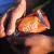 VELOFORTE Citro Citrus Ginger Flavour Energy Chews 9 x 50g