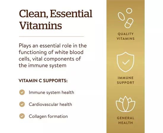 Solgar Niacin Vitamin B3 500 mg Vegetable 100 Capsules