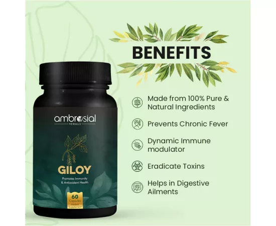 Ambrosial’s Giloy 500 mg Veg Capsules 120's 2 Pack