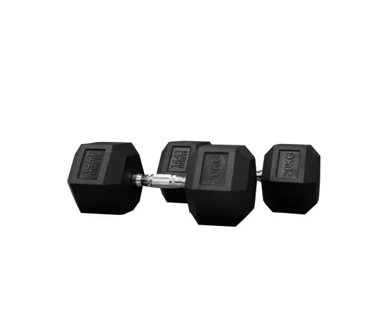 1441 Fitness Rubber Hex Dumbbells (20 Kg) â€“ Solid Cast Iron Core Rubber Coated Head Dumbbell Weights for Exercises at Home and Commercial Gym