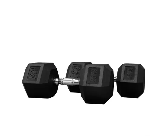 1441 Fitness Rubber Hex Dumbbells (25 Kg) â€“ Solid Cast Iron Core Rubber Coated