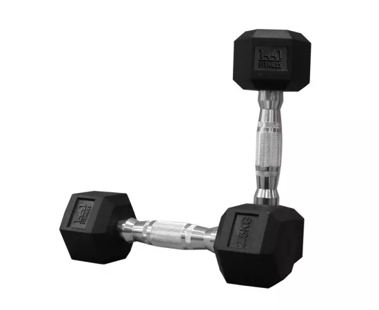 1441 Fitness Rubber Hex Dumbbells (2.5 Kg) â€“ Solid Cast Iron Core Rubber Coated Head