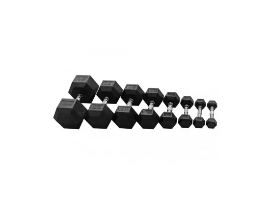 1441 Fitness Hex Dumbbell Set â€“ Gym Equipment â€“ 2.5 to 10 Kg â€“ 4 Pairs