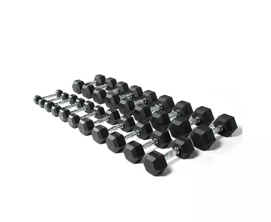 1441 Fitness Rubber Hex Dumbbells - 45 lbs