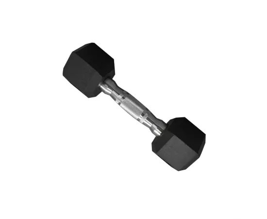 1441 Fitness Hex Rubber Dumbbell - 1 Kg