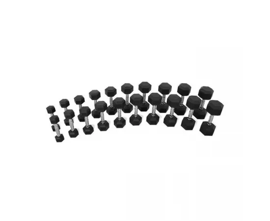 1441 Fitness Hex Rubber Dumbbell - 8 Kg