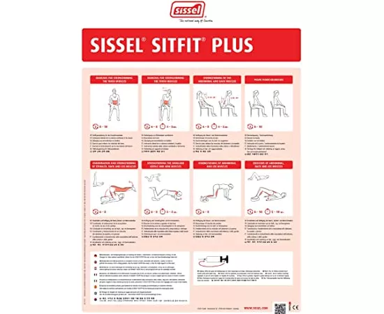 Sissel Sit Fit Plus With Pump Blue