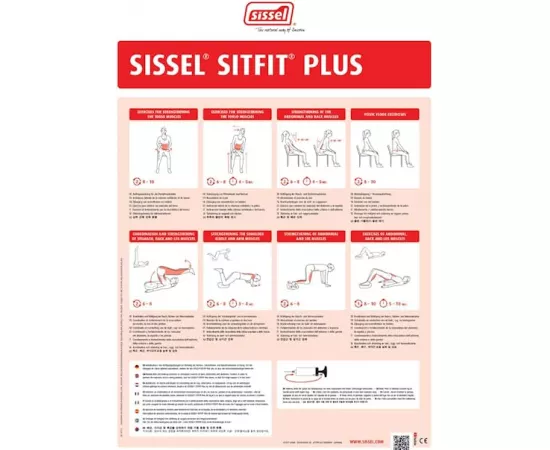 Sissel SitFit Plus With Pump Black