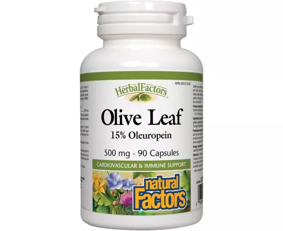 Natural Factors Olive Leaf 500 mg 90 Capsules