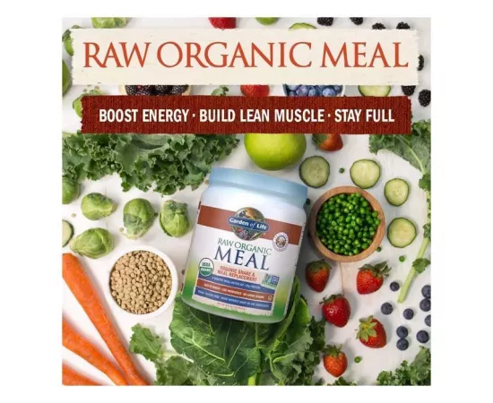 Garden of Life Raw Organic Meal Vanilla Chai 16 Oz (454 g)