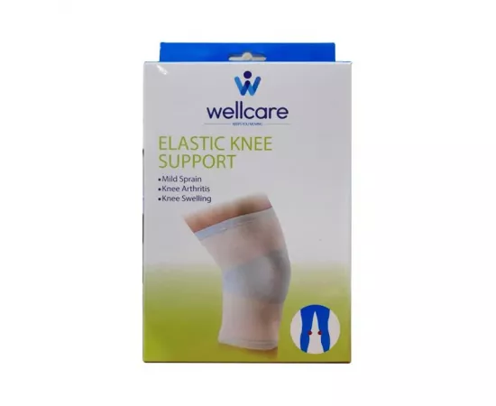 Wellcare Knee Brace - Large