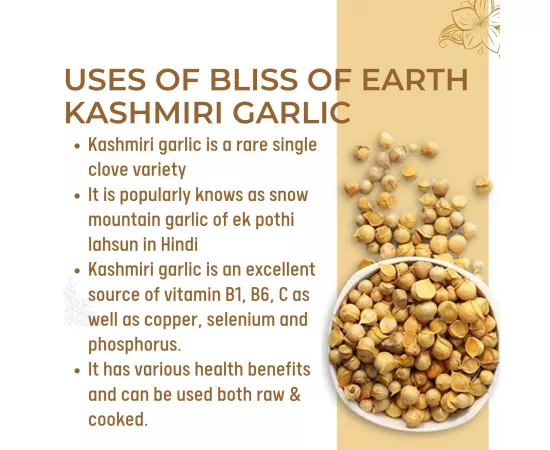 Bliss of Earth Naturally Organic Kashmiri Garlic From Indian Himalayas Single Clove, Kashmiri Lahsun, Snow Mountain Garlicg Make Garlic Paste Garlic Mayonnaise Good for Health 500g